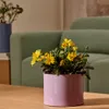 Jarrón de cerámica Elova - lila 16cm en Violeta - Jarrones, Uruguay | Kavehome, vista 2 de 6
