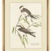 CUADRO BIRDS 1 - MARCO GOLD – 45 X 35 CMS en Dorado - Decoración de pared, Uruguay | La Iberica, vista 3 de 3