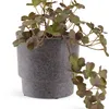 Maceta THORFINN Ø13xA13cm gris en Gris - Macetas, Uruguay | JYSK, vista 1 de 5